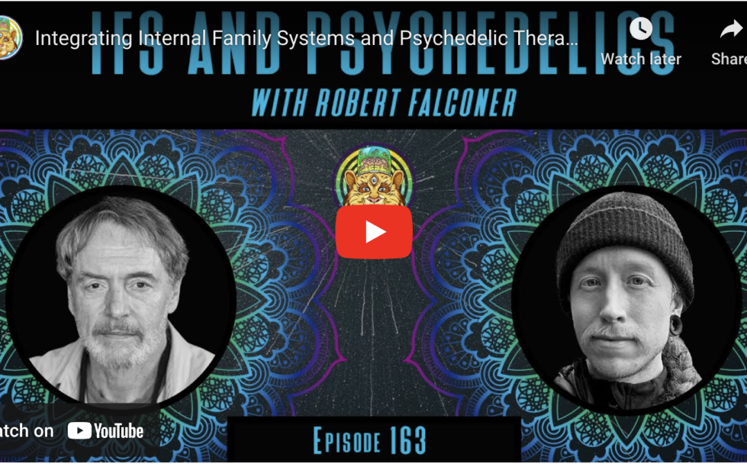 Robert Falconer on IFS & Psychedelics -Adventures Through the Mind